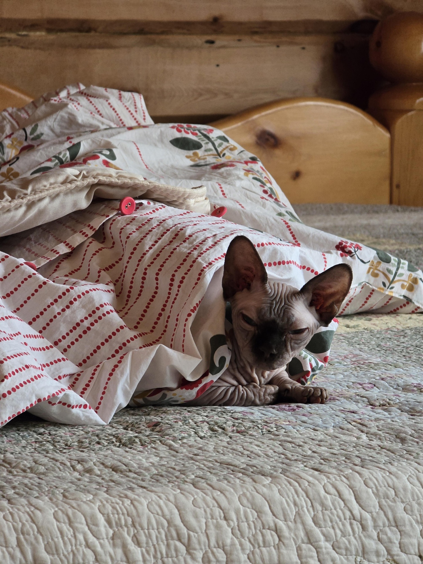 Маленькая страна - фото 31