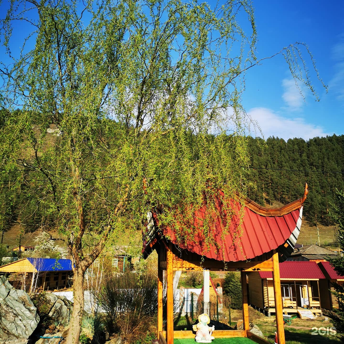 Катунь - фото 36