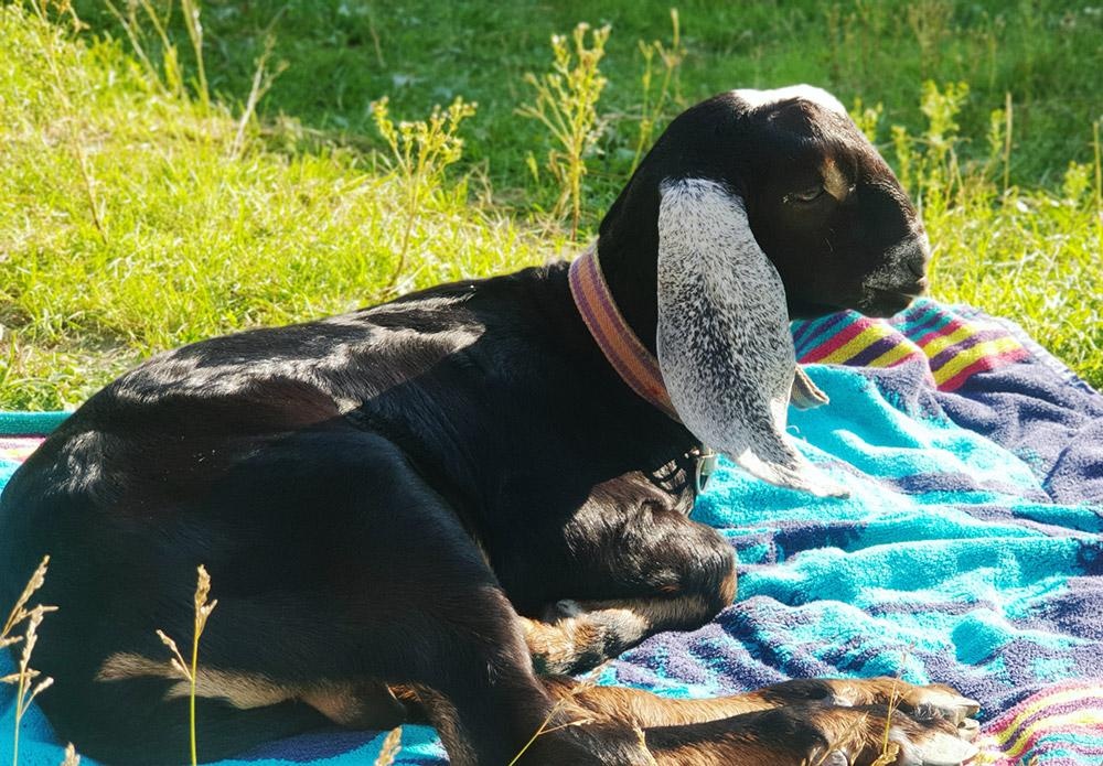 Маленькая страна - фото 48