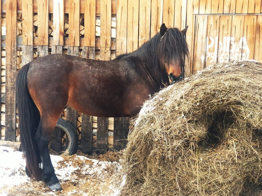 Маленькая страна - фото 71