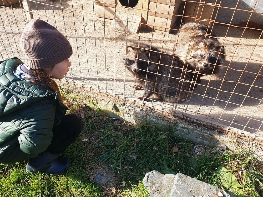 Маленькая страна - фото 72