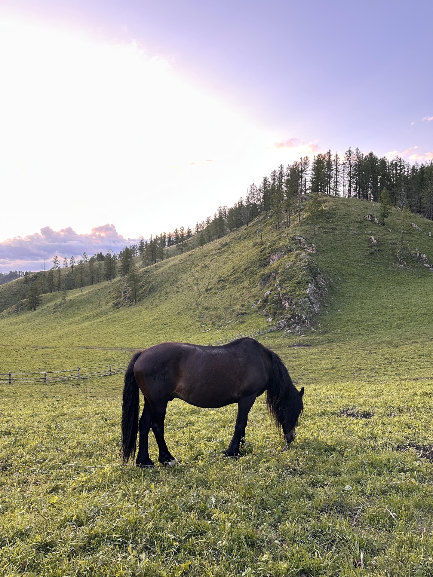 Надежда - фото 5