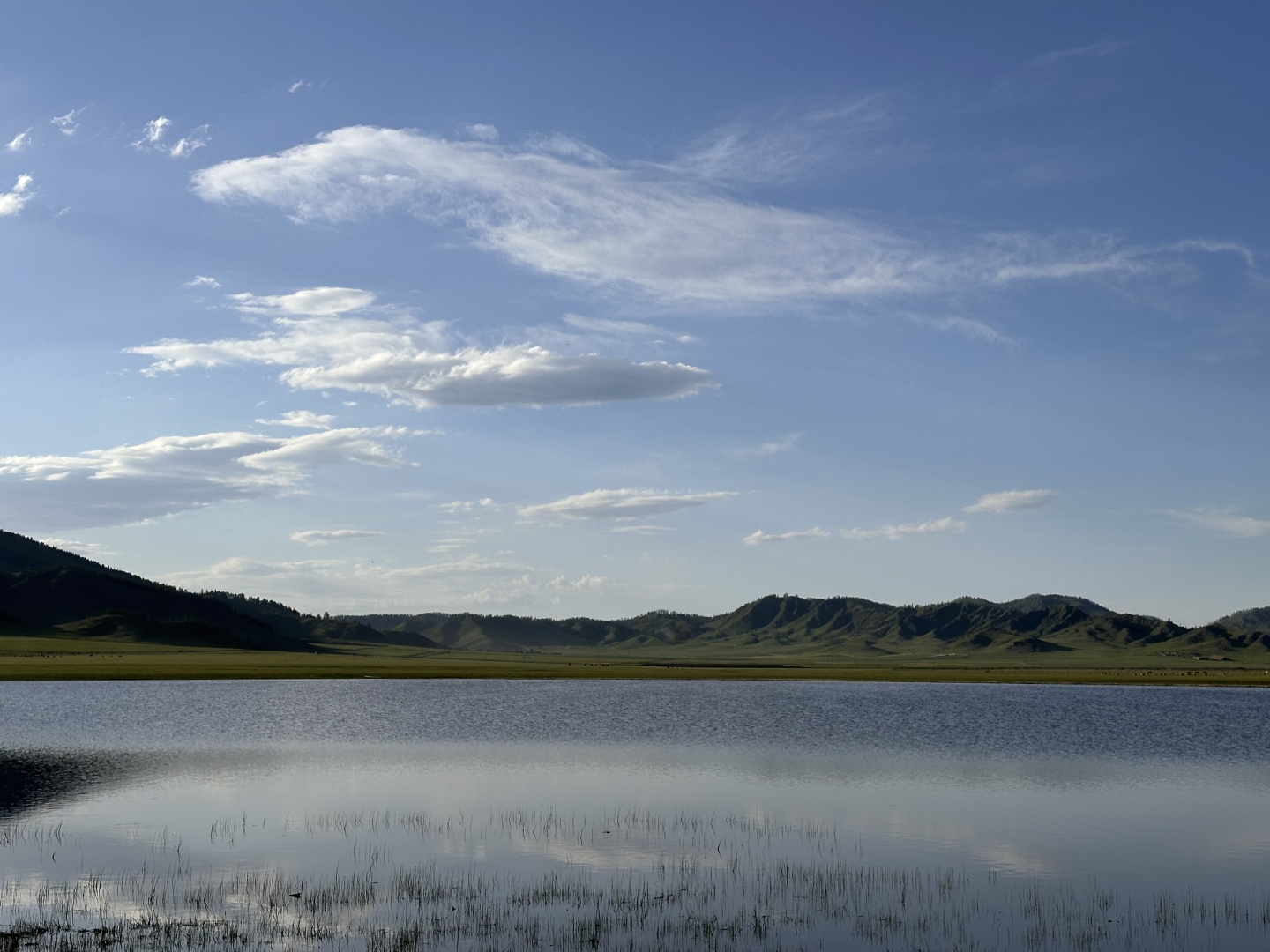 Надежда - фото 6