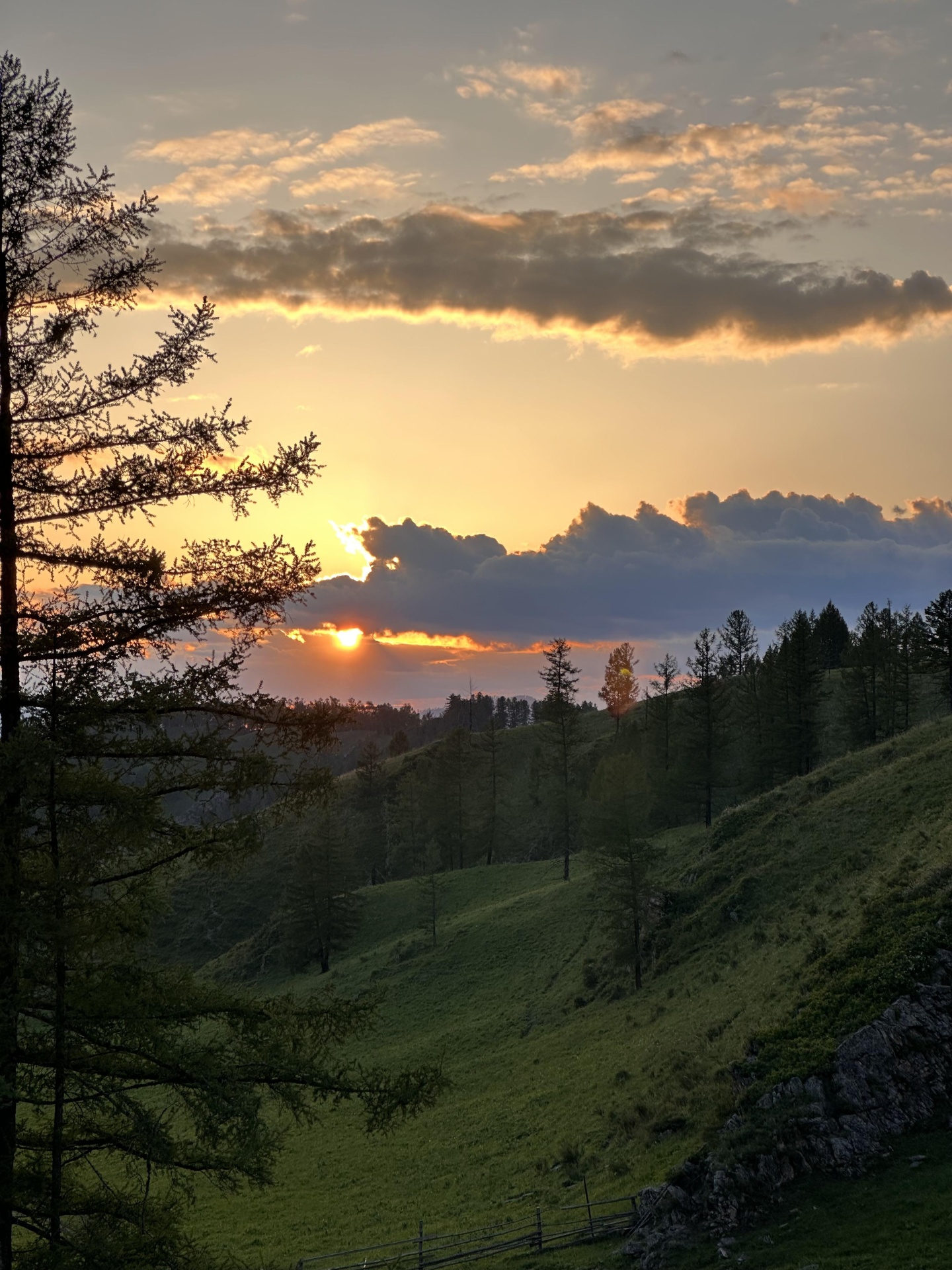 Надежда - фото 7