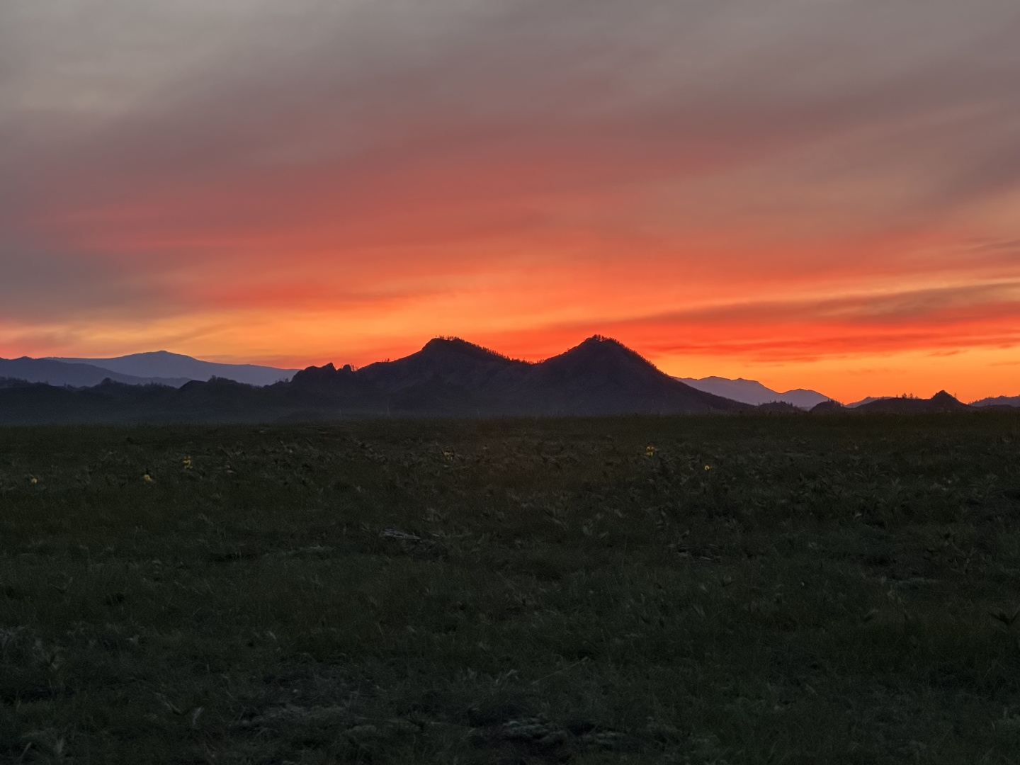 Надежда - фото 12