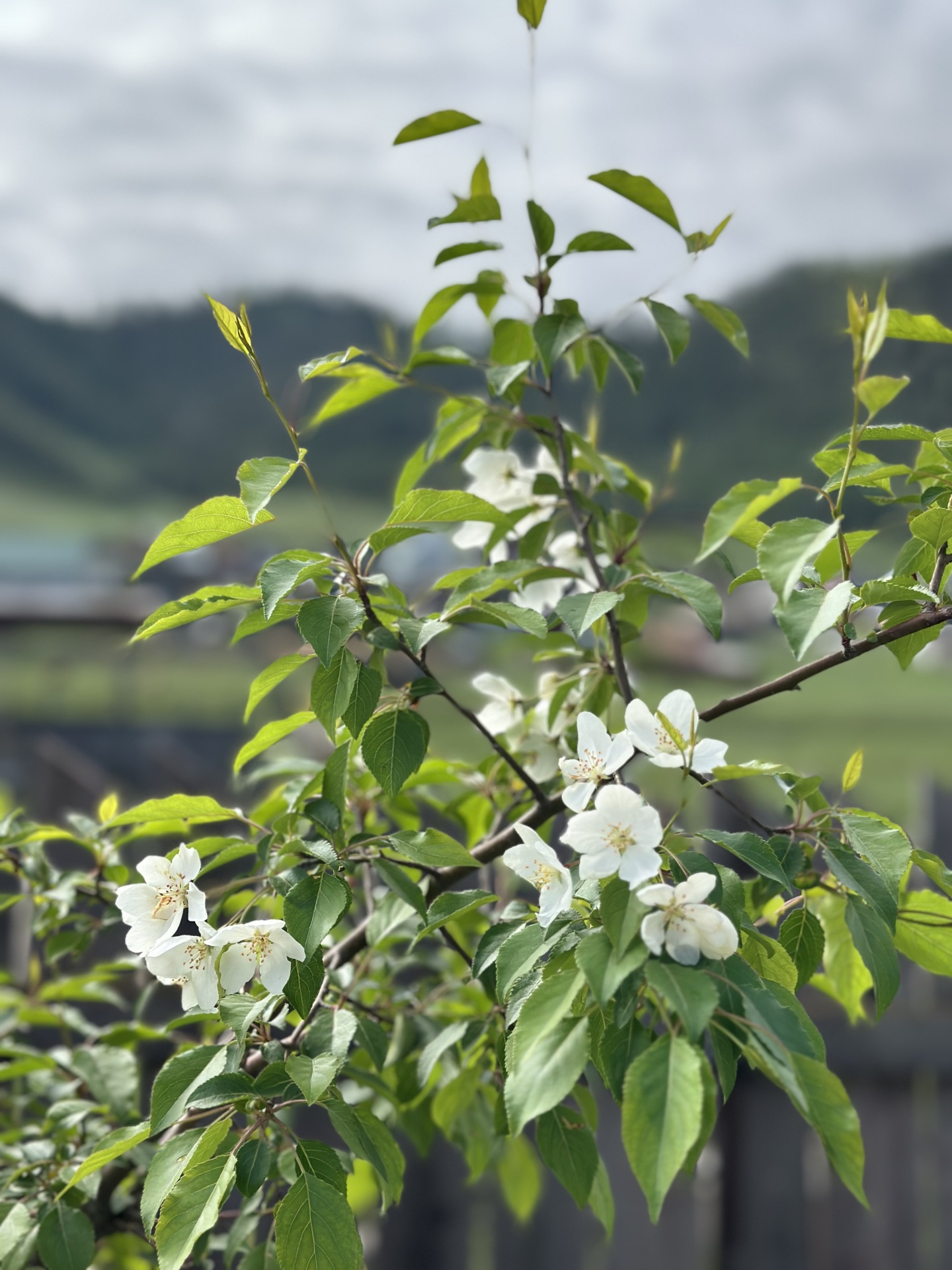 Надежда - фото 19