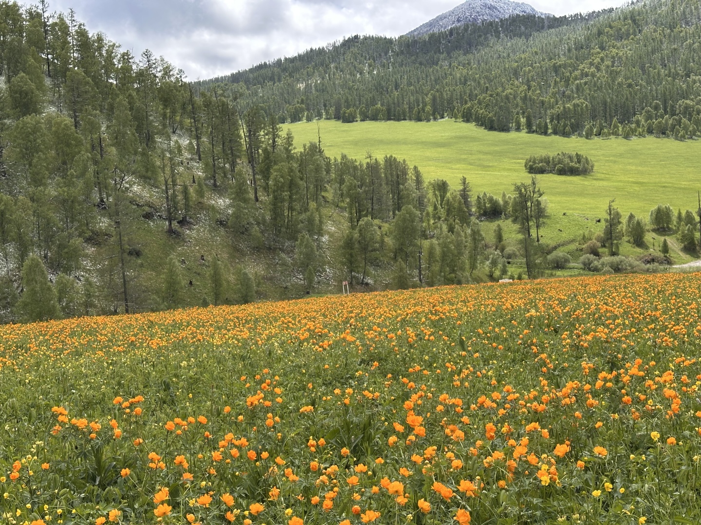 Надежда - фото 25