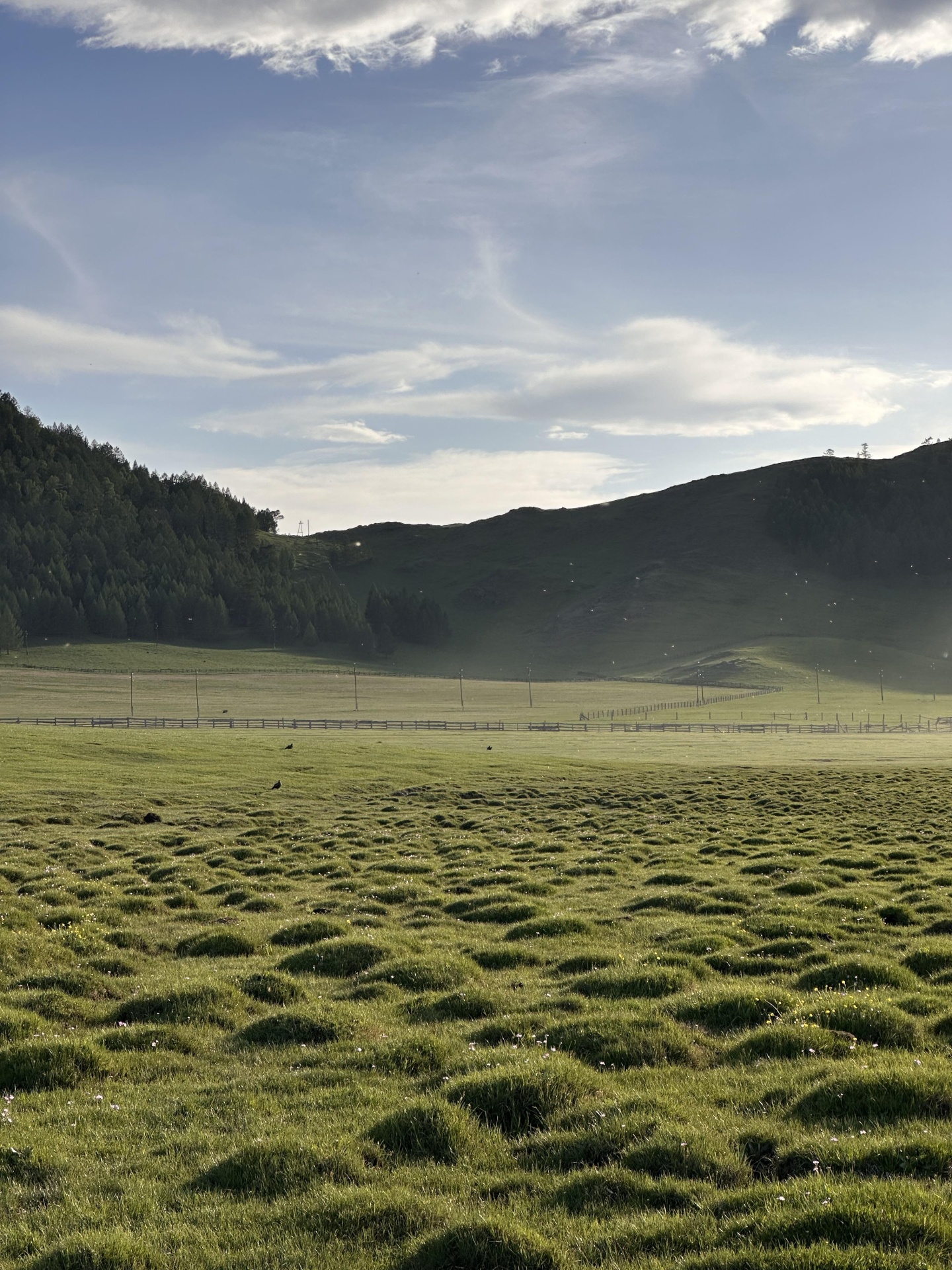 Надежда - фото 26