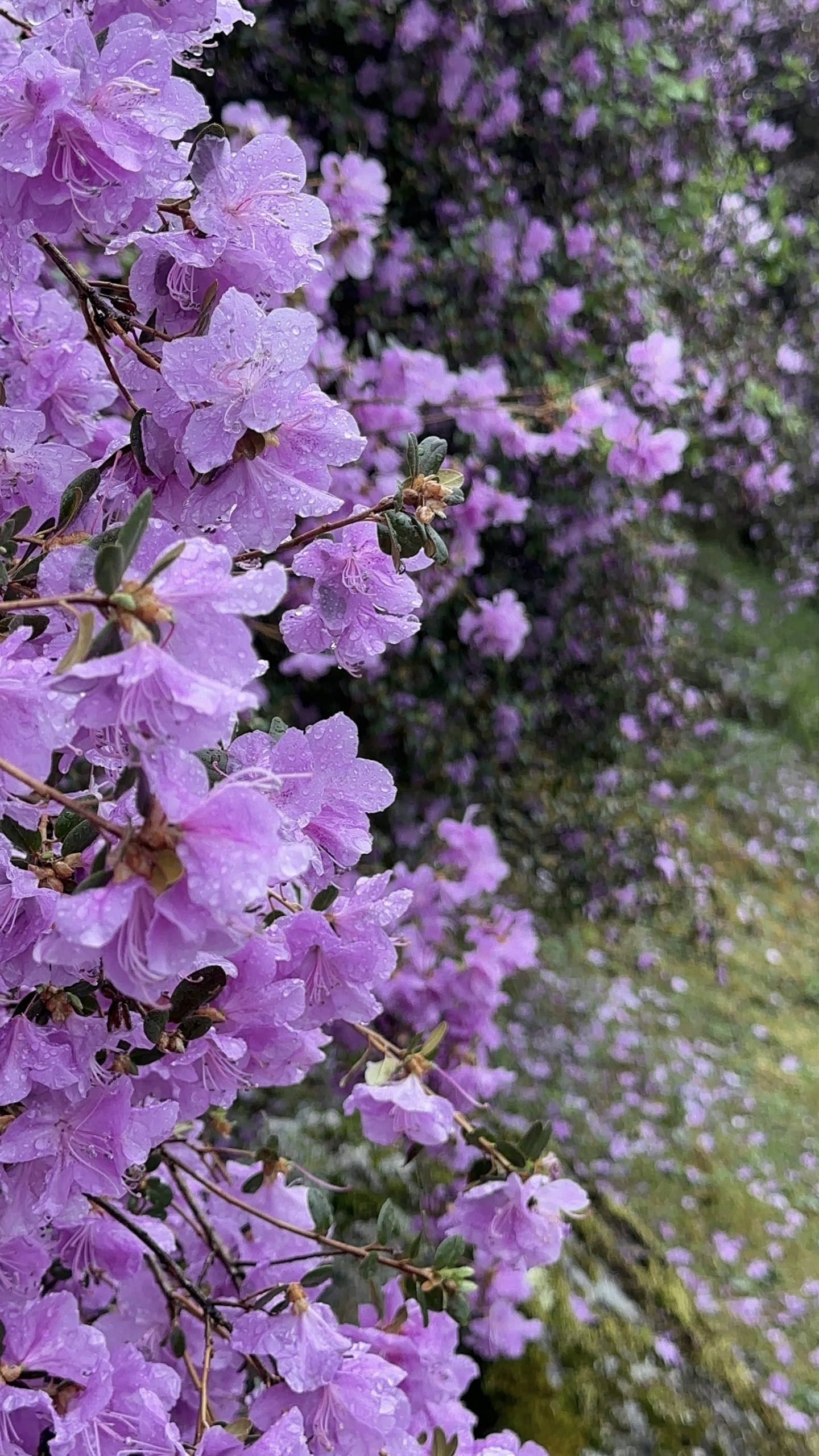 Надежда - фото 31