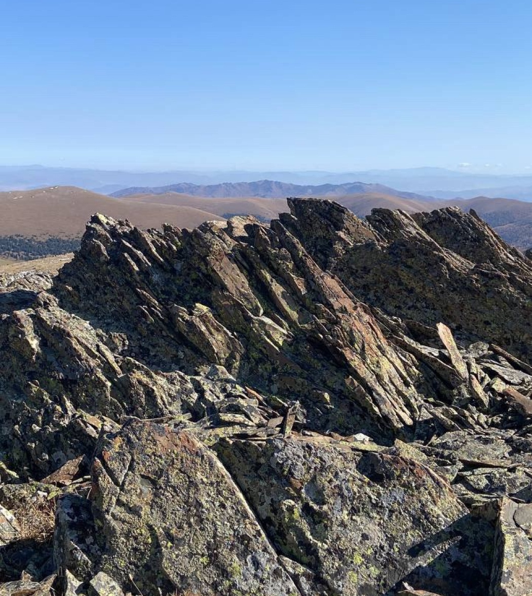 Надежда - фото 34