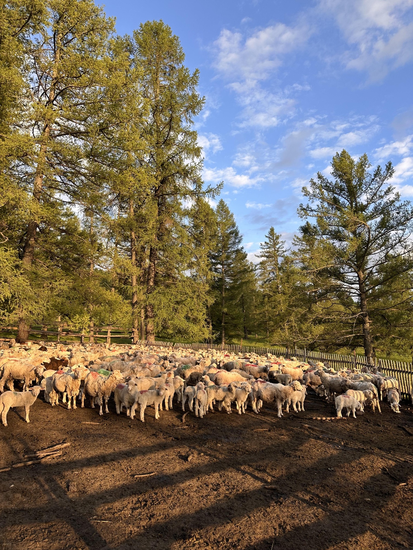 Надежда - фото 51