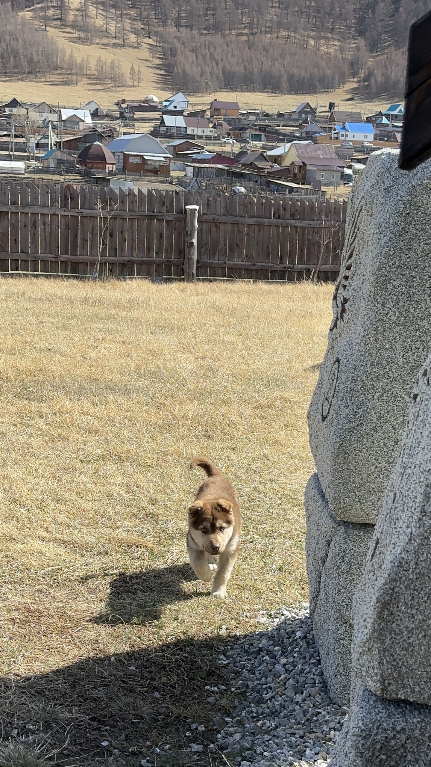 Надежда - фото 52