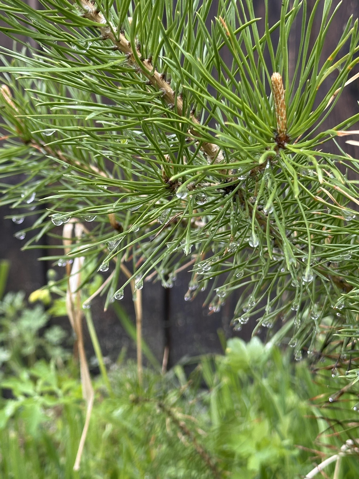 Надежда - фото 59