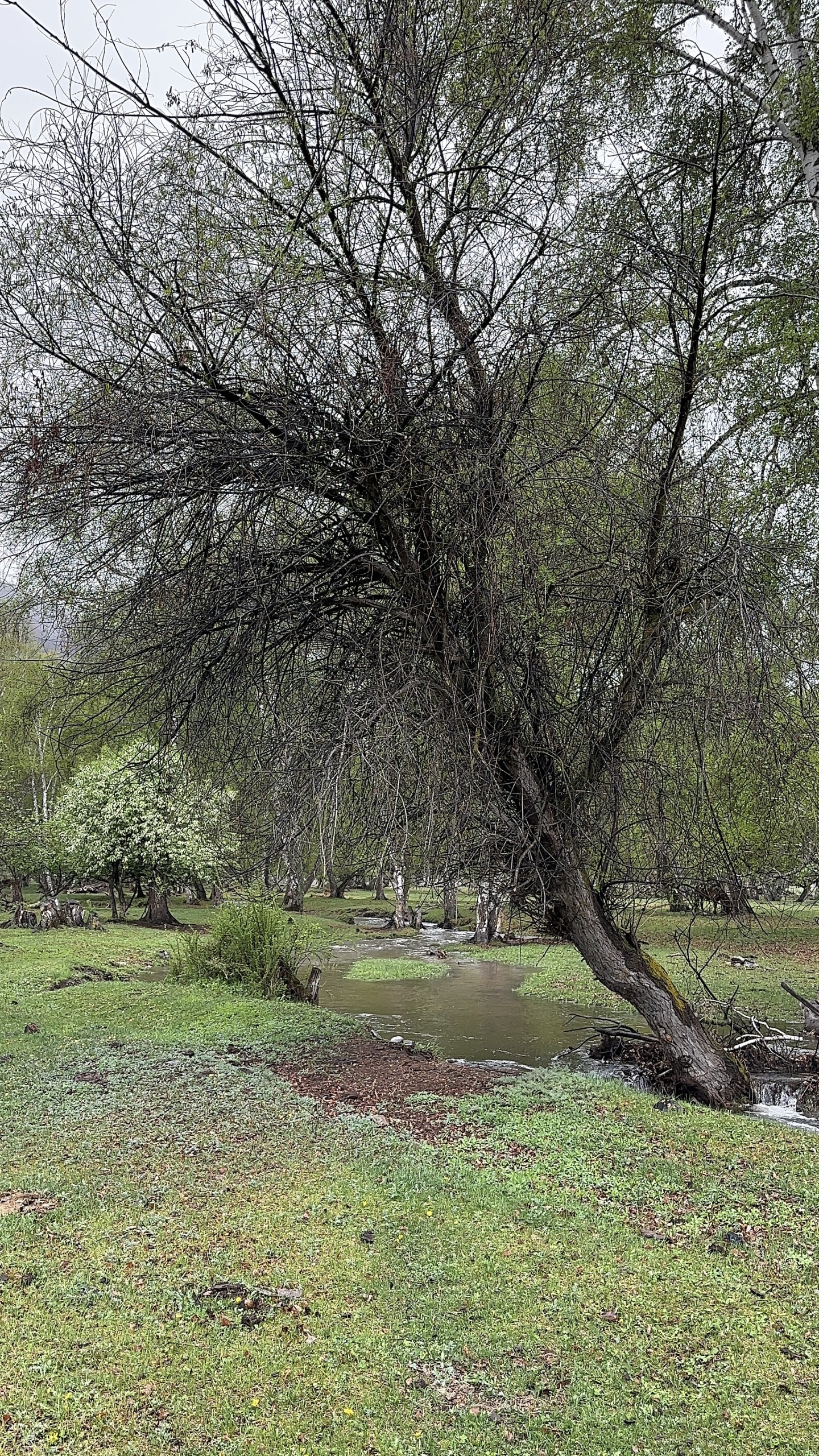 Надежда - фото 65