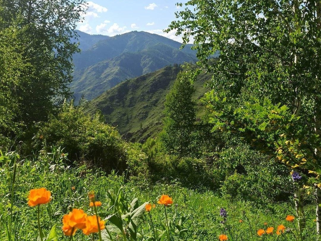 База отдыха Алмат - фото 2