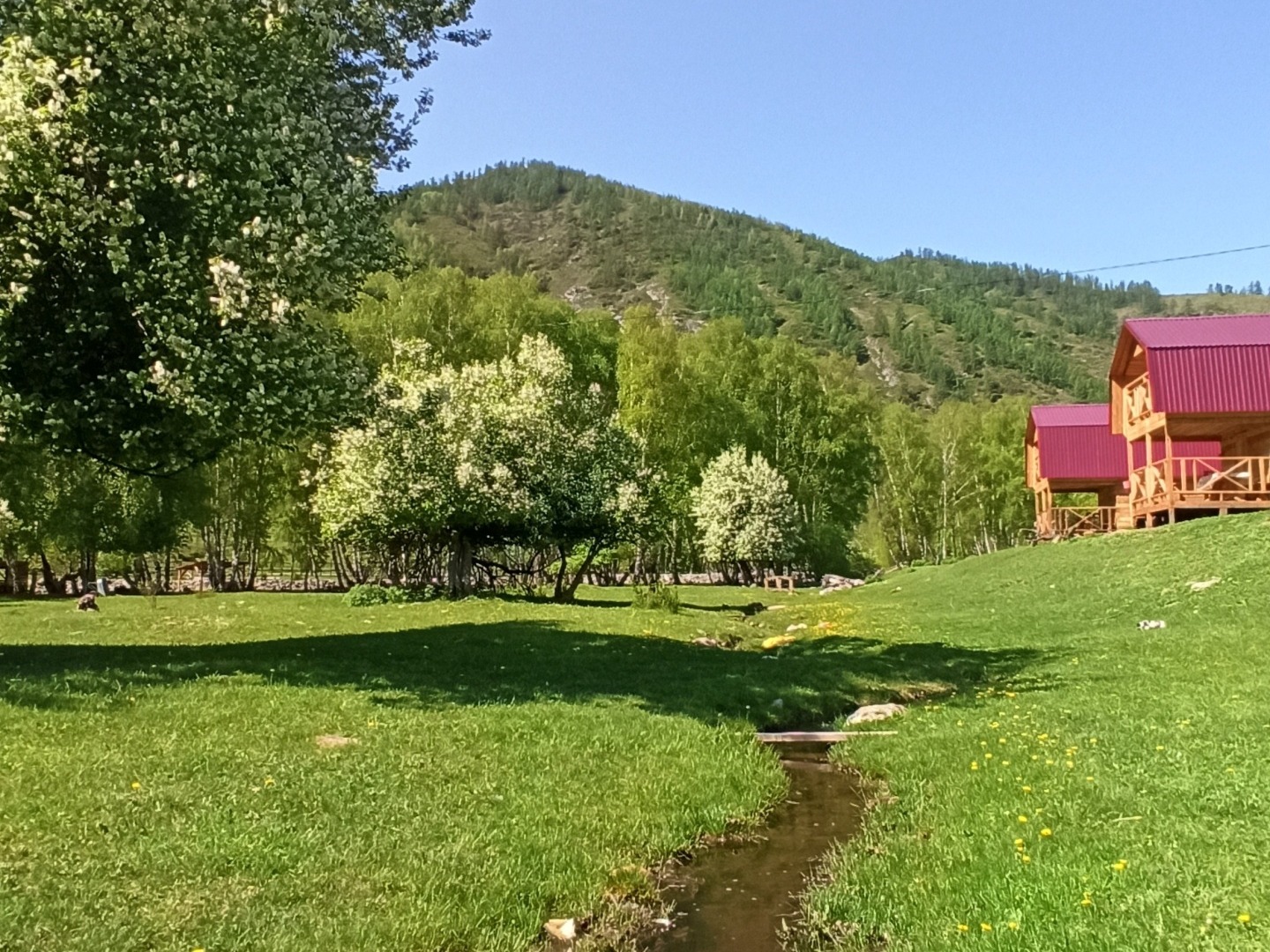 База отдыха Алмат - фото 3