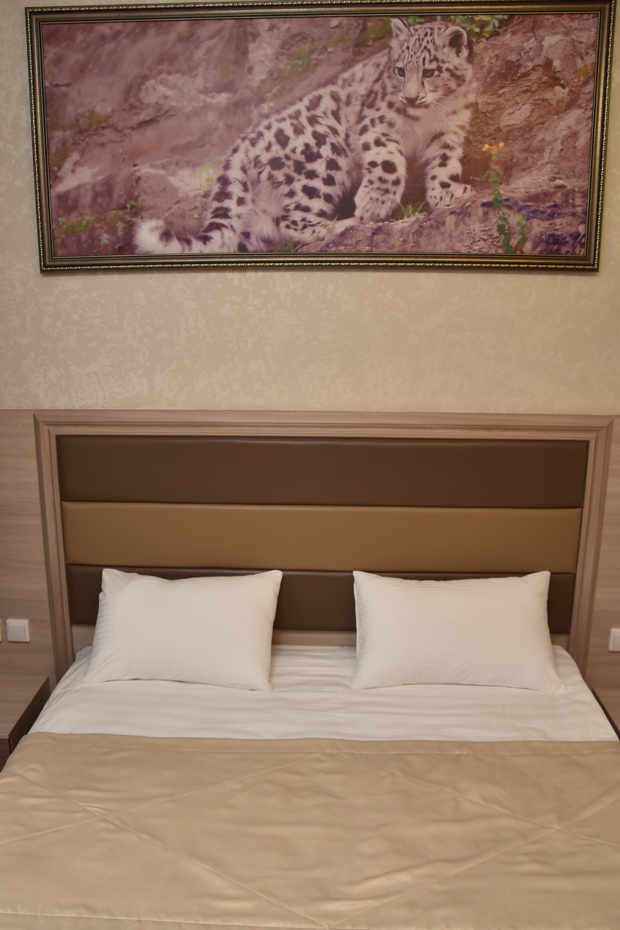 Двухместный улучшенный - фото 6