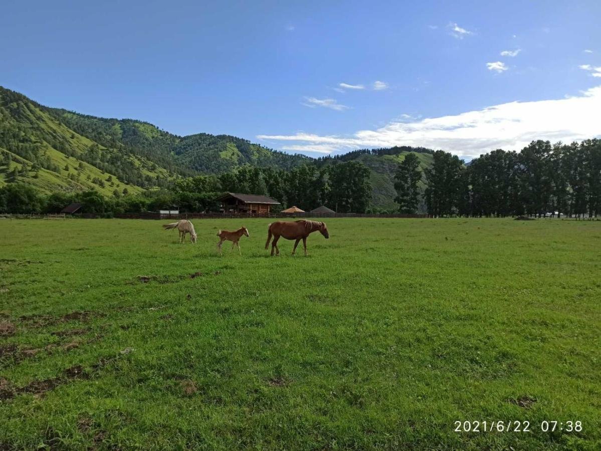 Карма - фото 8