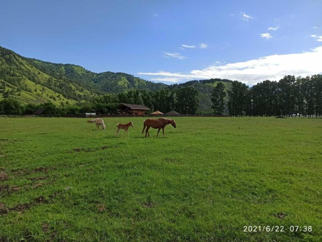 Карма - фото 8