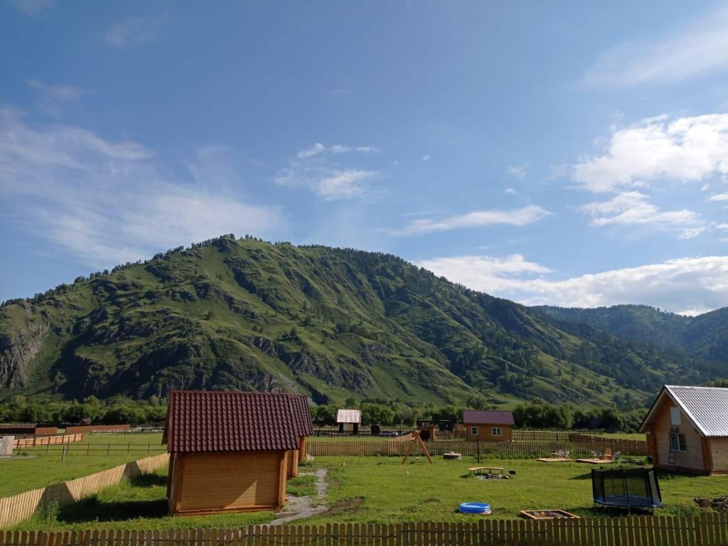 Карма - фото 9