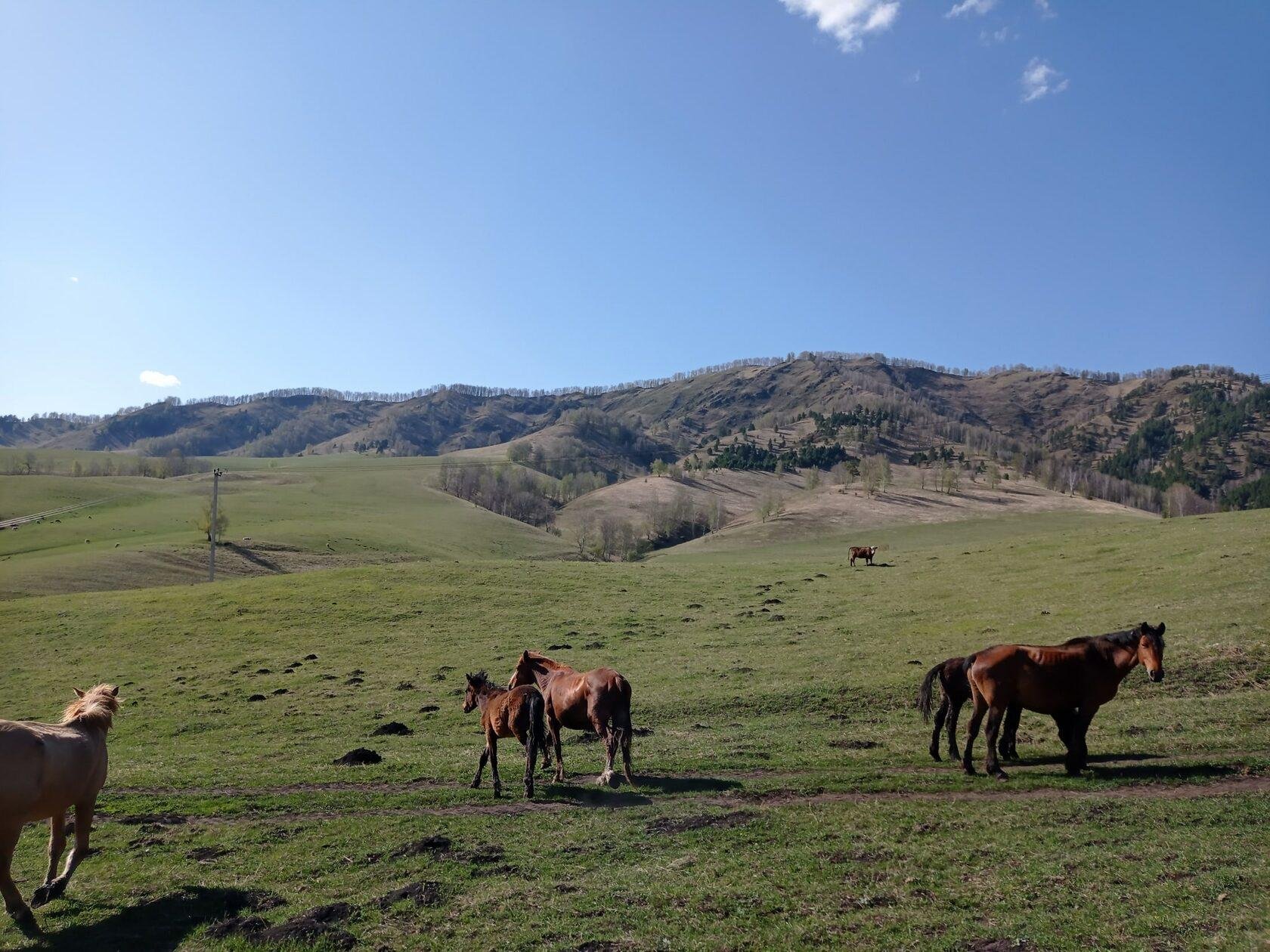 Карма - фото 33