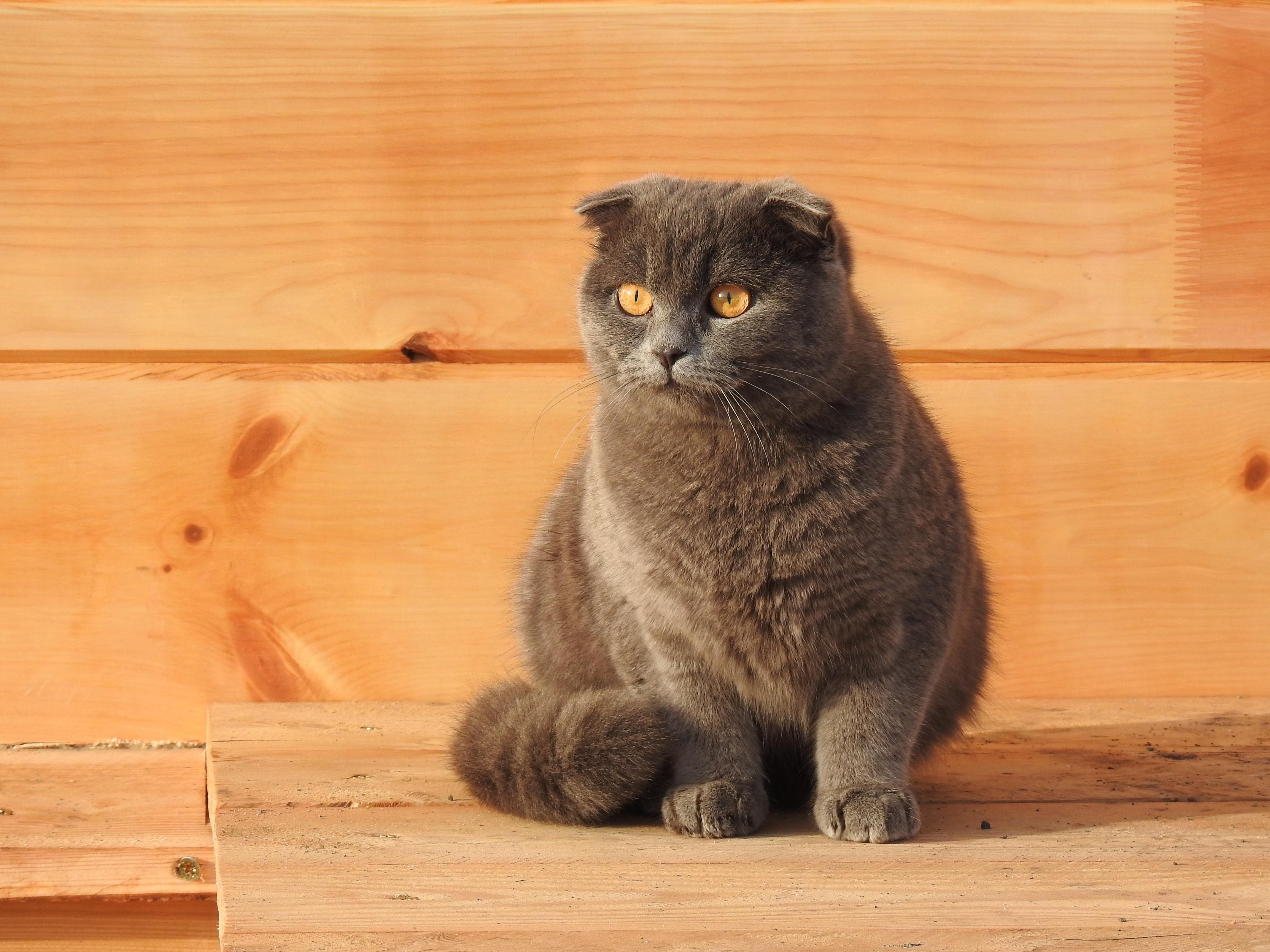 Карма - фото 36