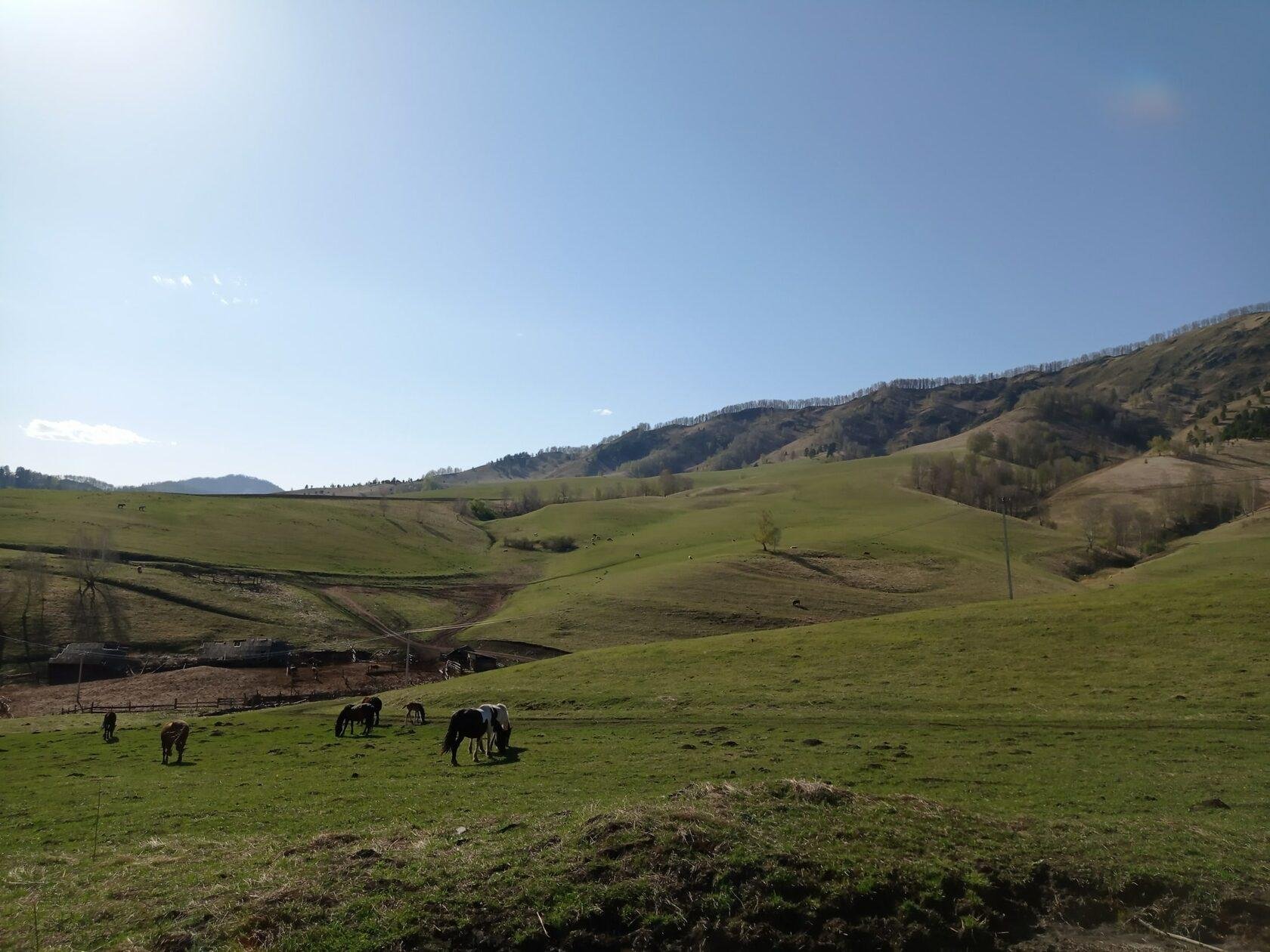 Карма - фото 39