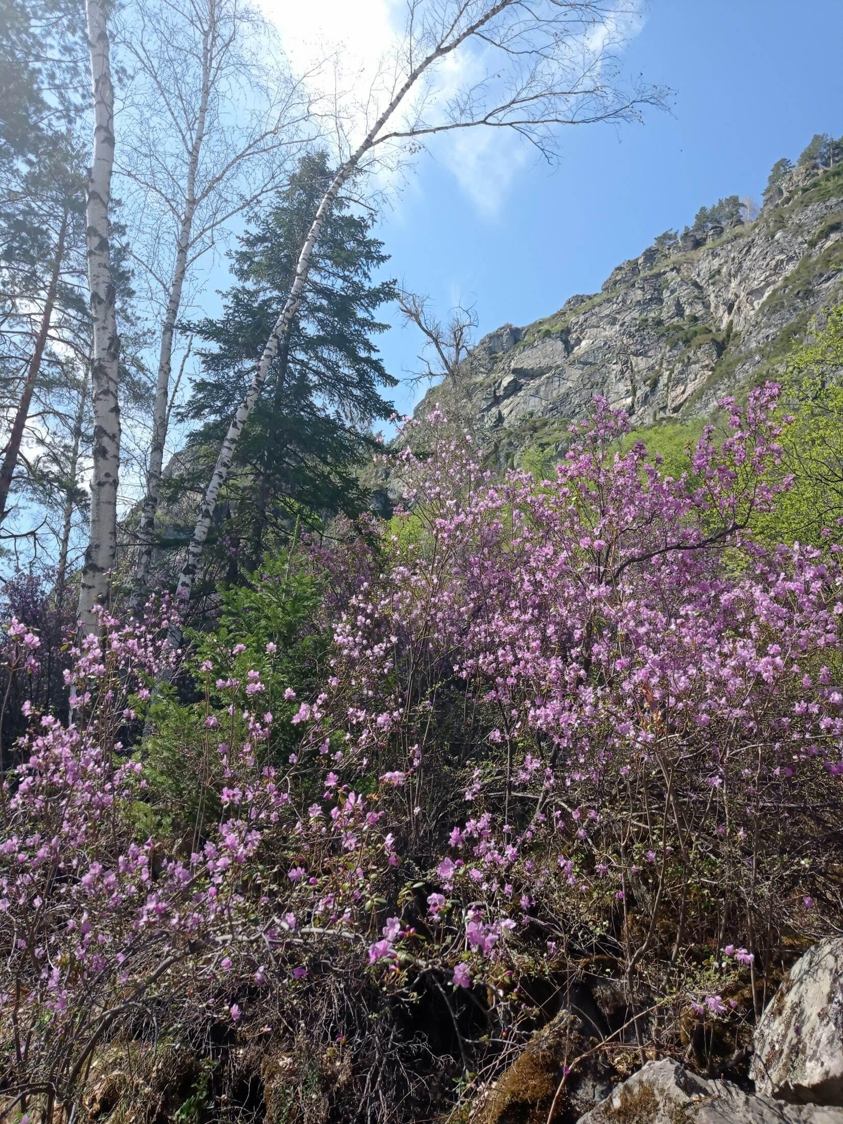 Карма - фото 40