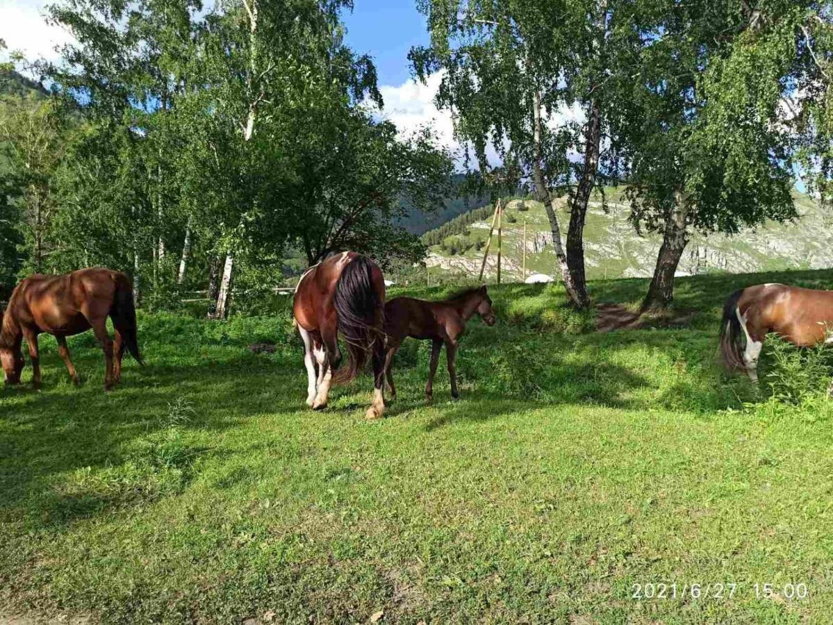 Карма - фото 43