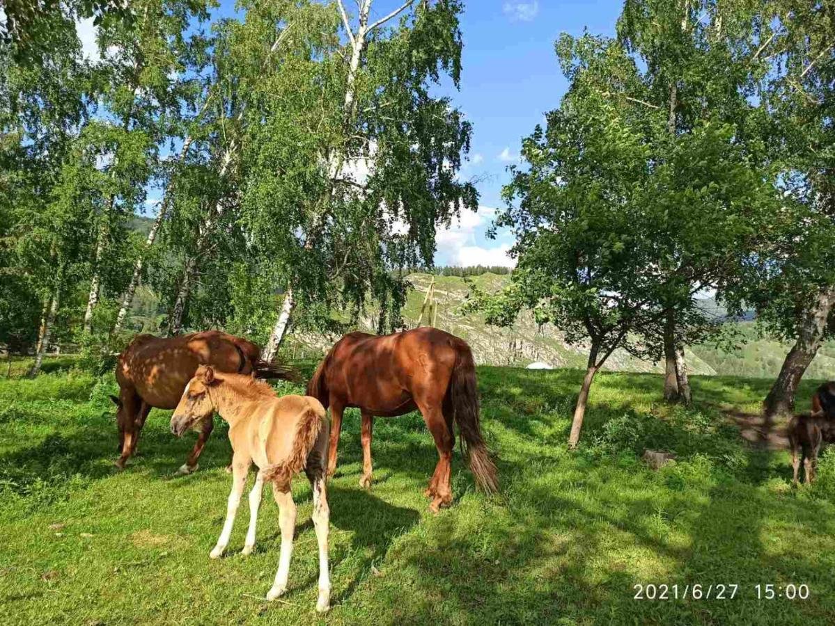 Карма - фото 46