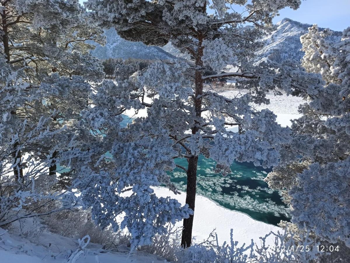 Карма - фото 51