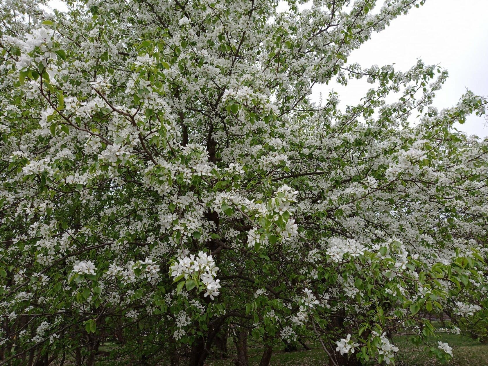 Карма - фото 53