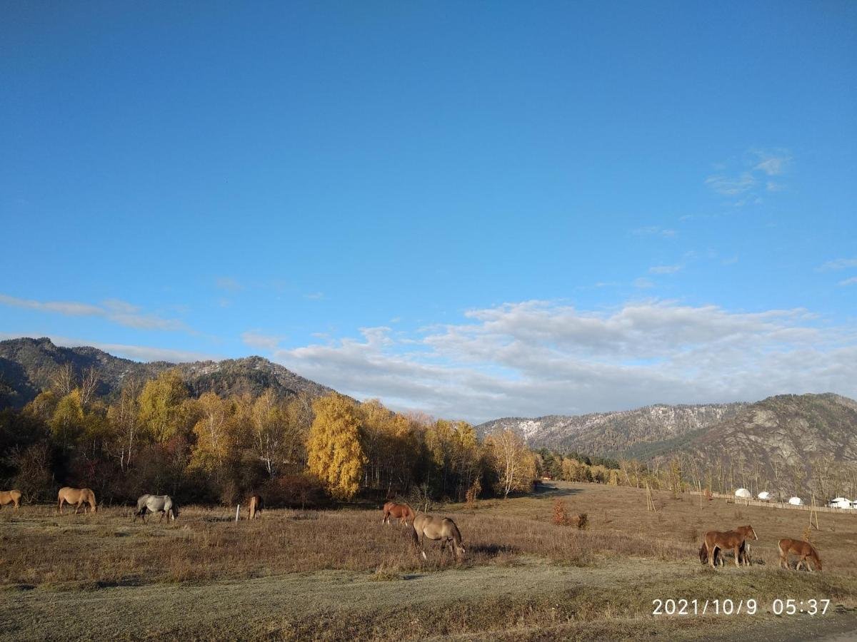 Карма - фото 58