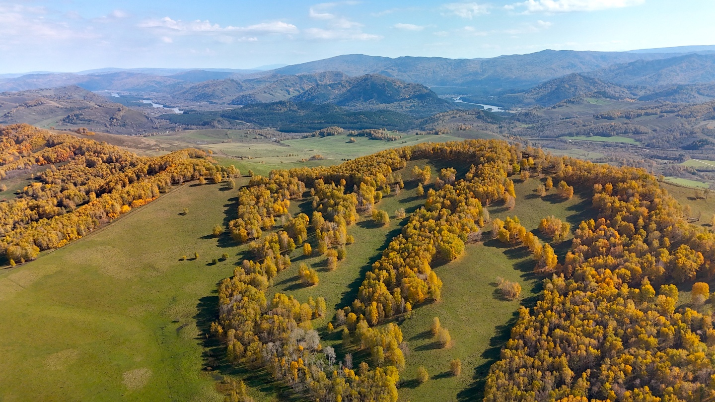 Маральник Altai Palace - фото 23