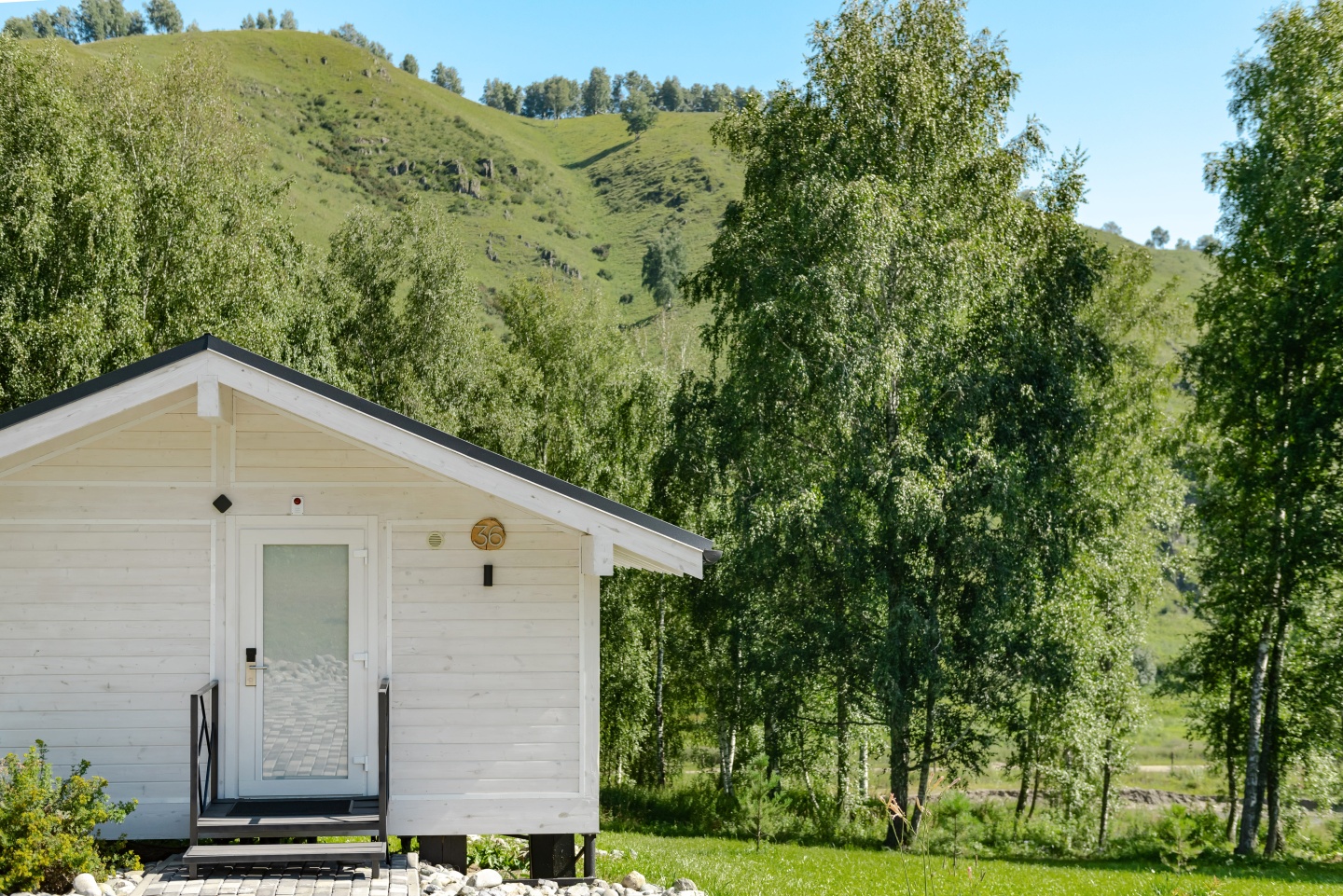 Маральник Altai Palace - фото 40