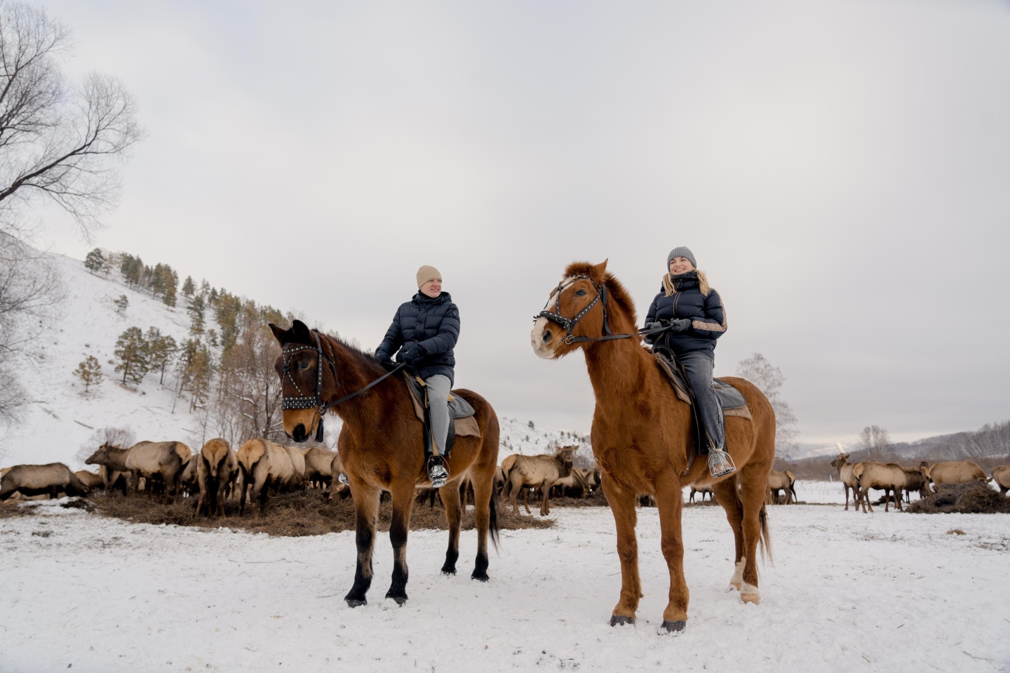 Маральник Altai Palace - фото 48