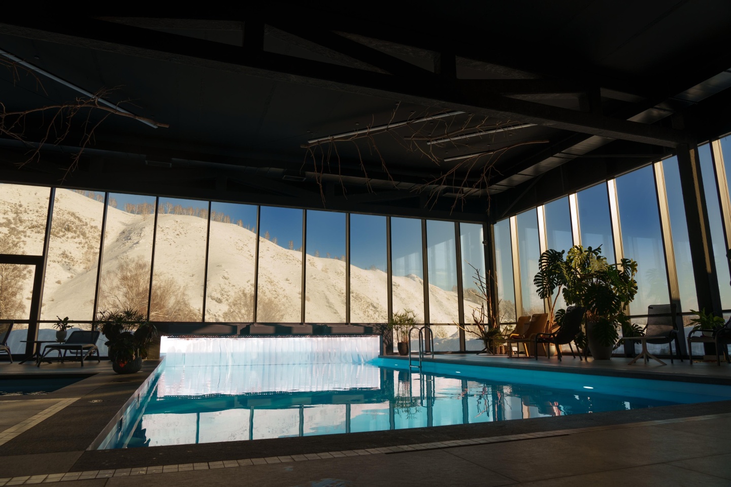 Маральник Altai Palace - фото 57