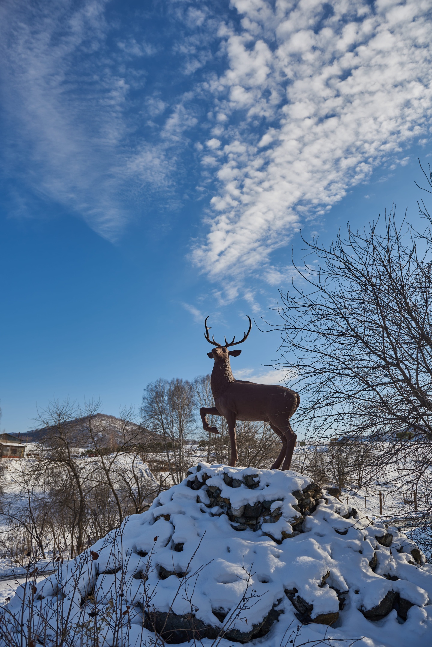 Маральник Altai Palace - фото 62