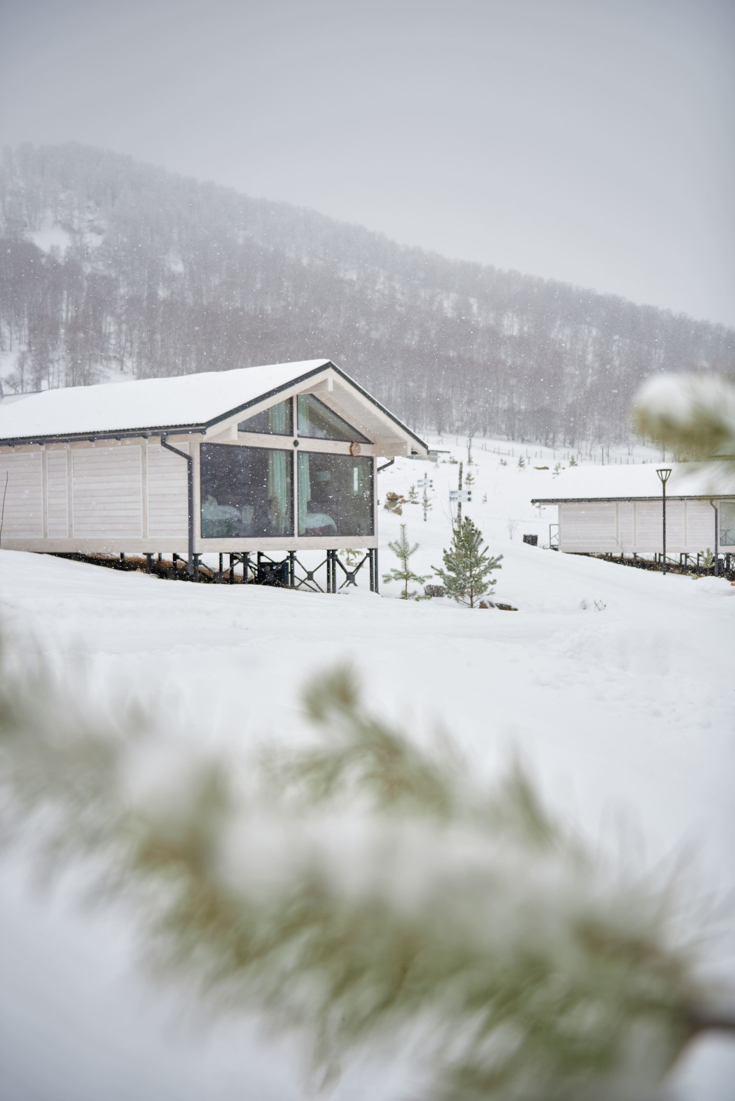 Маральник Altai Palace - фото 65