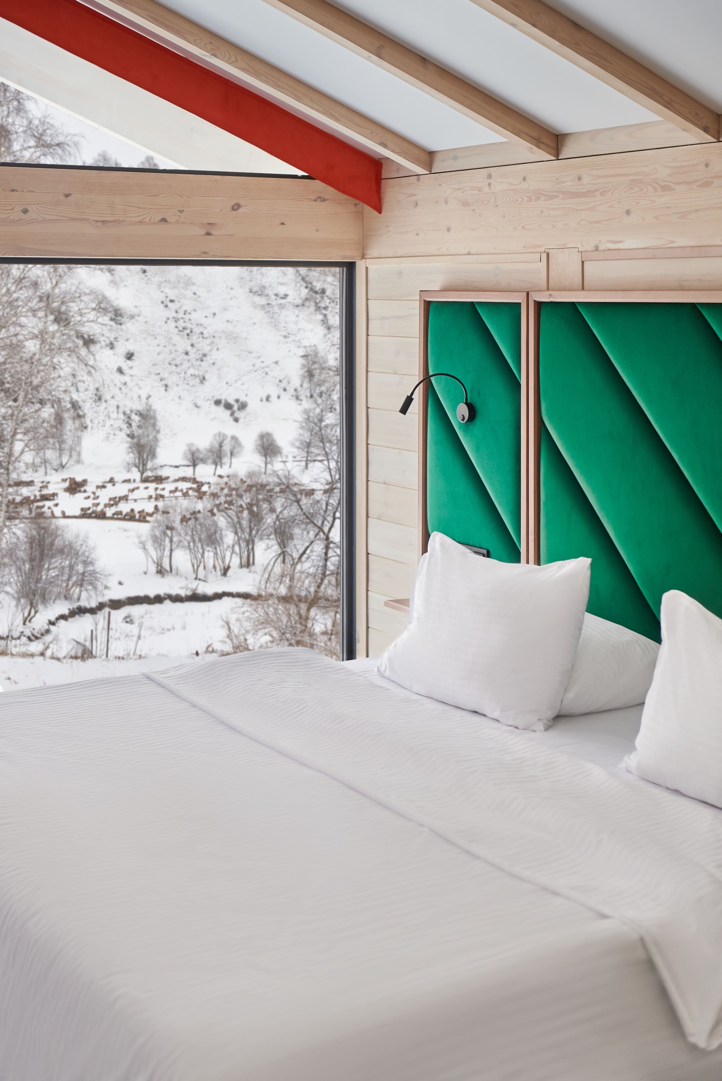 Маральник Altai Palace - фото 66