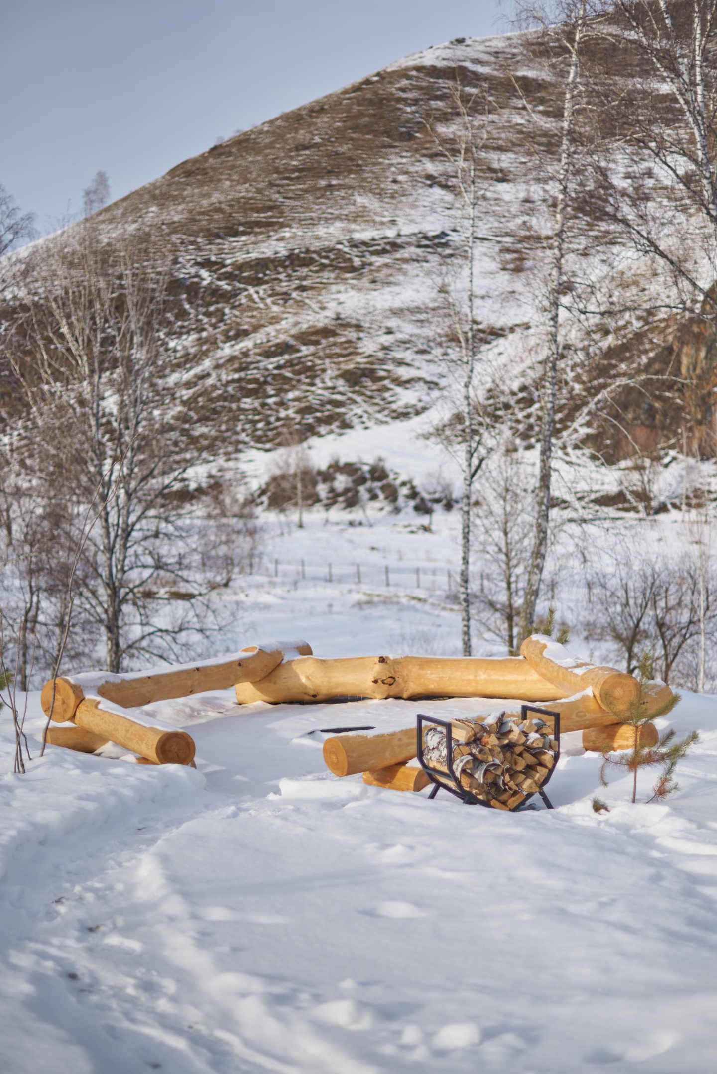 Маральник Altai Palace - фото 73