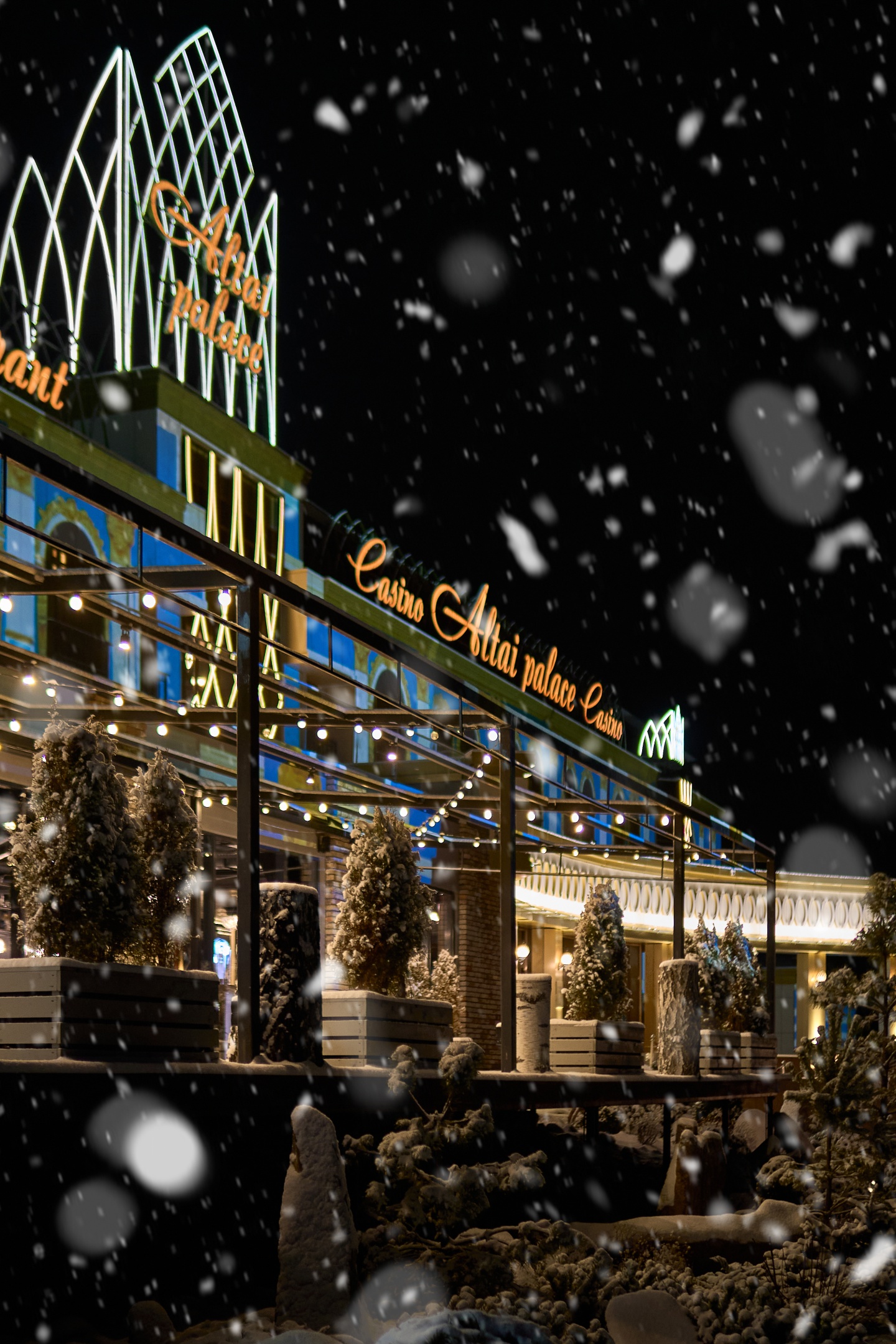 Алтай Пэлас - фото 20