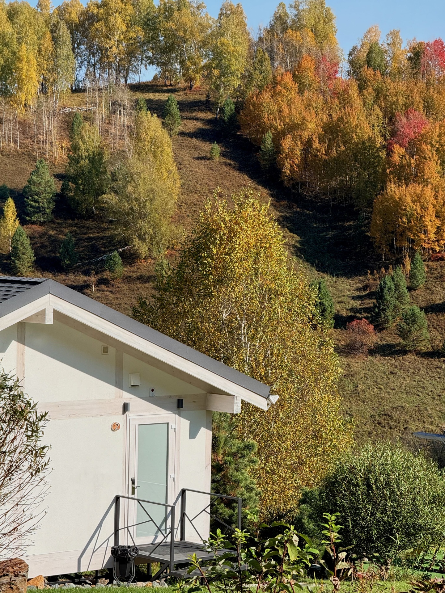 Алтай Пэлас - фото 33