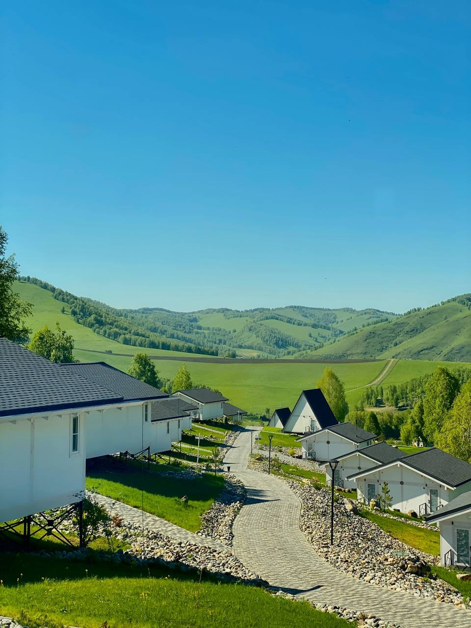 Алтай Пэлас - фото 41