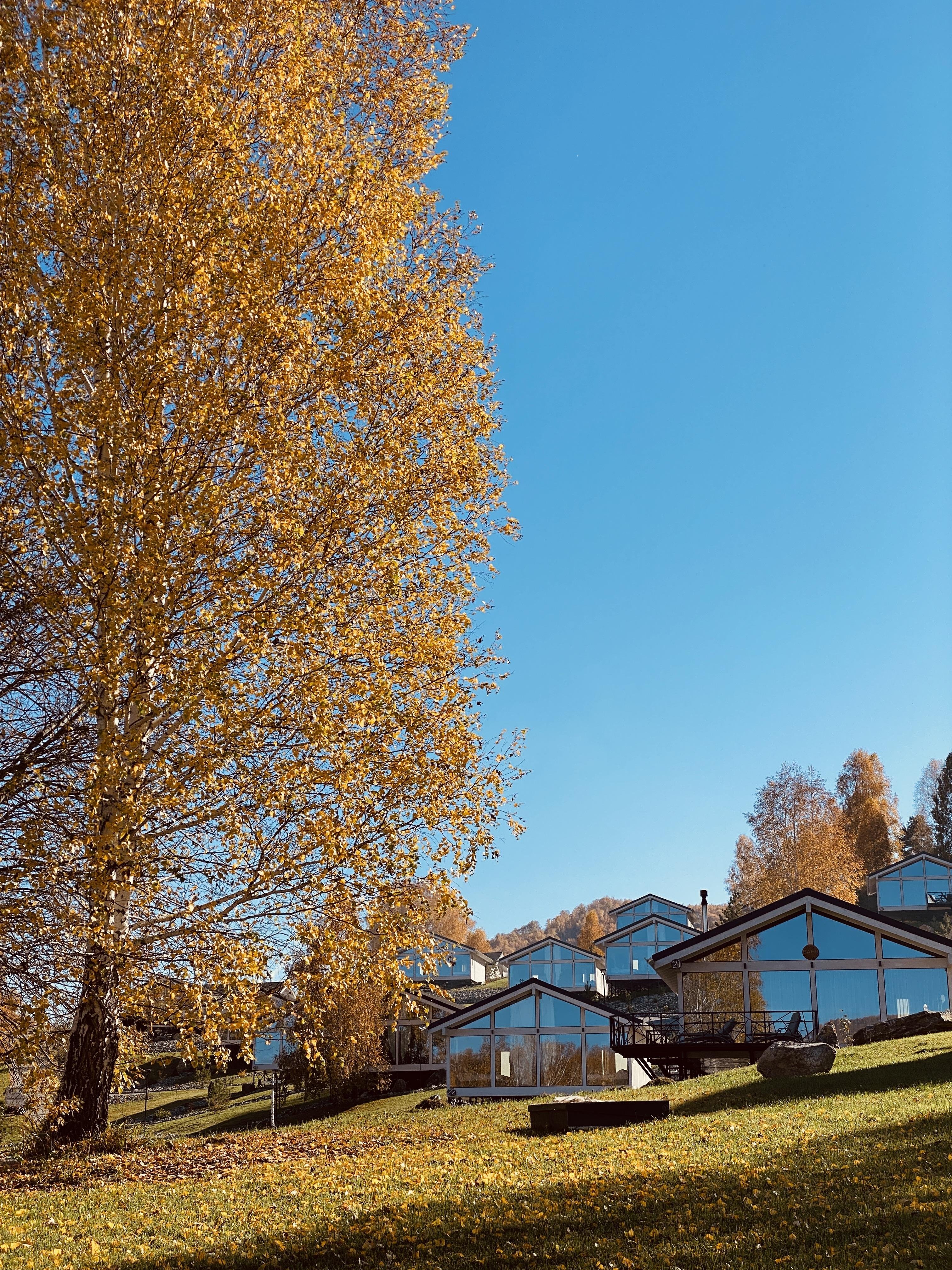 Алтай Пэлас - фото 49