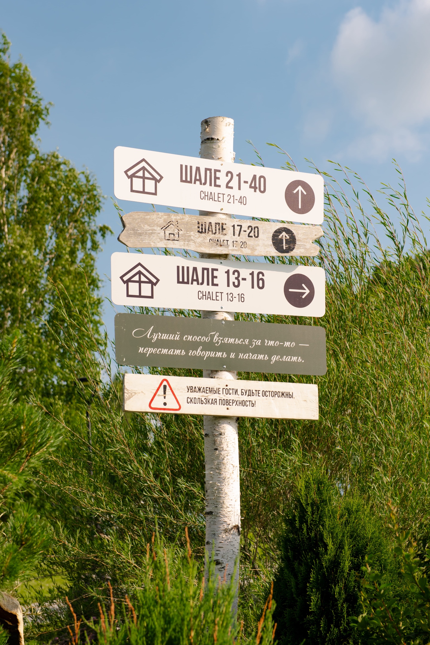 Алтай Пэлас - фото 57