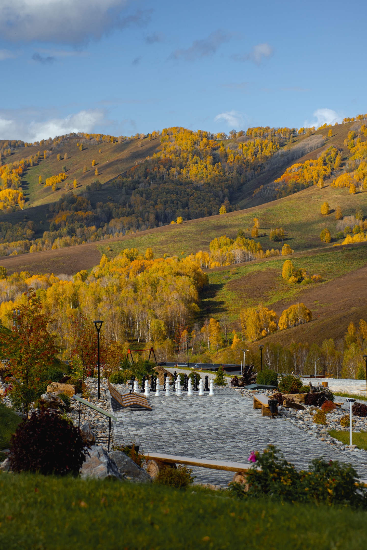 Алтай Пэлас - фото 129