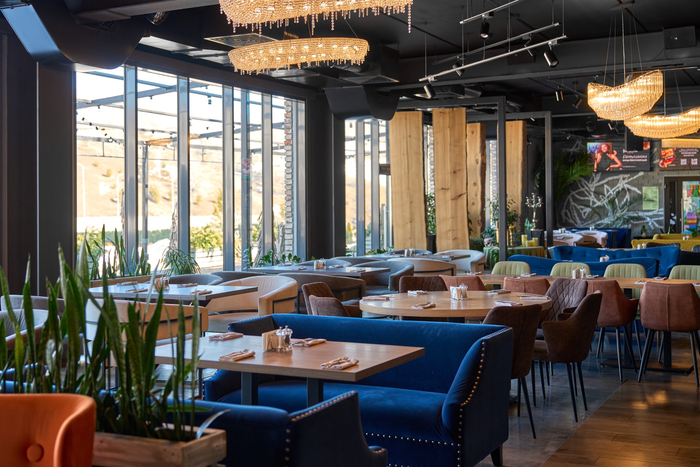 Алтай Пэлас - фото 141