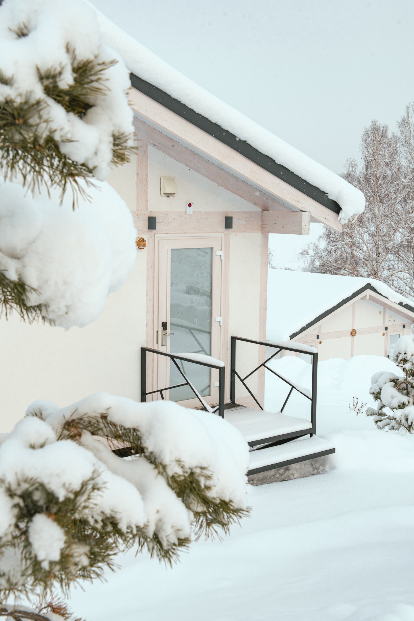 Алтай Пэлас - фото 147