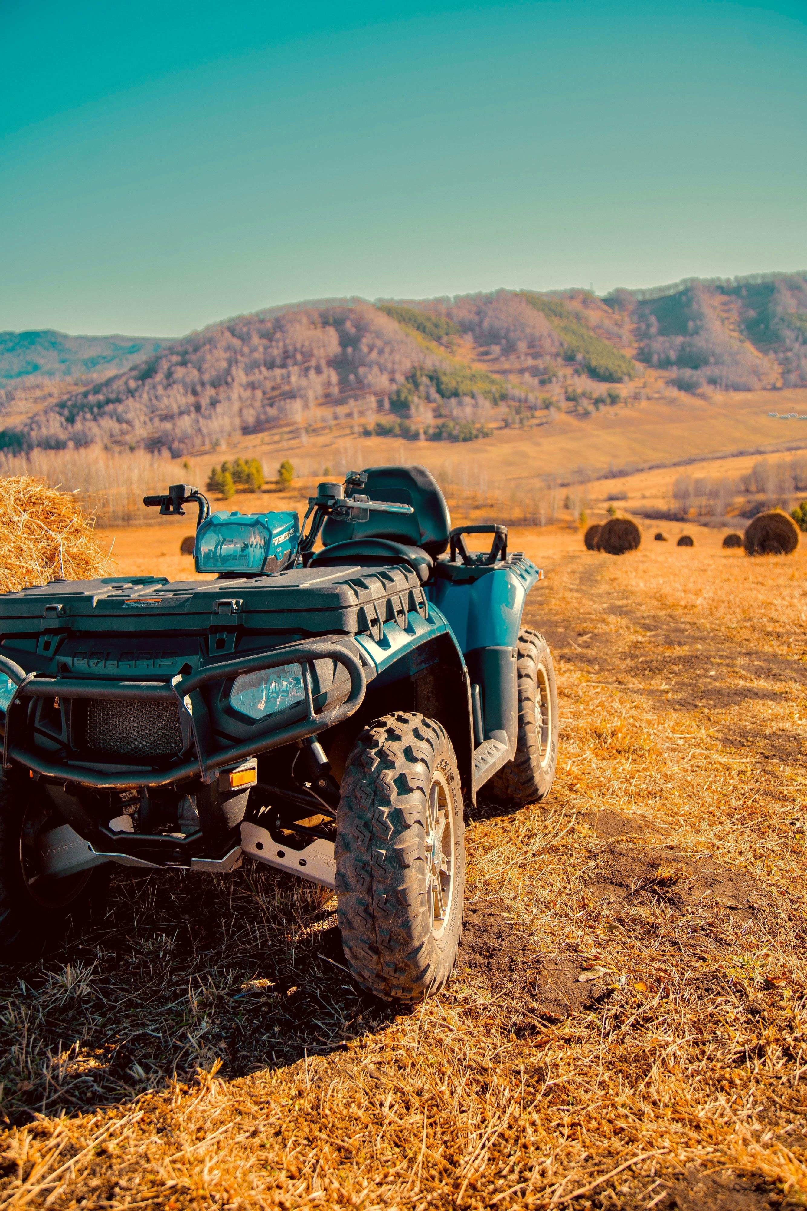 Алтай Пэлас - фото 148